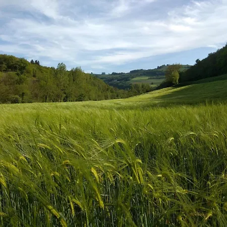 Le Grenier De Margot